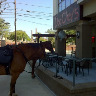 GPhorses