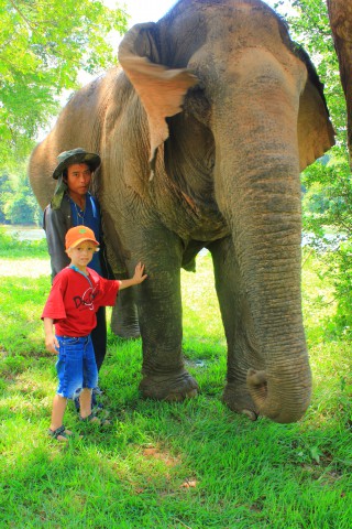 Thailand My friend the elephant