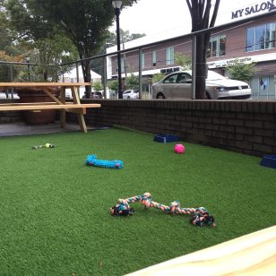 GPdogpatio2